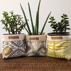Plant holders/Organizers